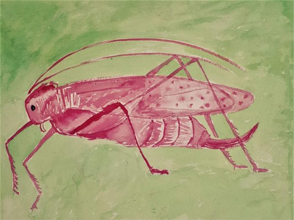 Grasshopper 2 (2017)
